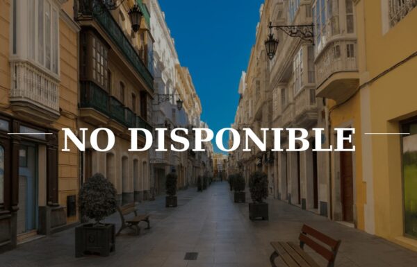 photo_2026-03-12_12-38-03