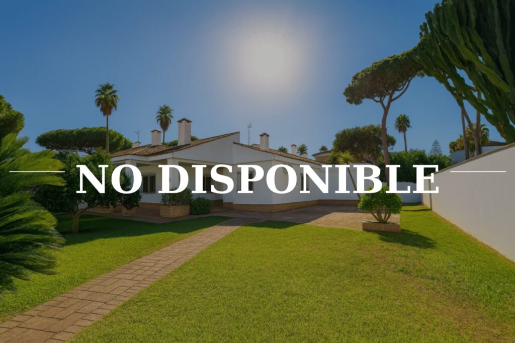 photo_2026-03-12_12-41-20