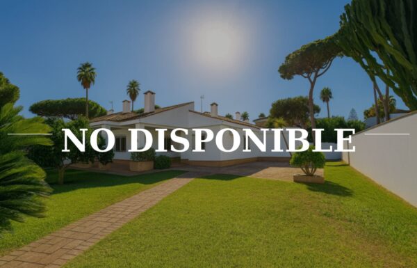 photo_2026-03-12_12-41-20