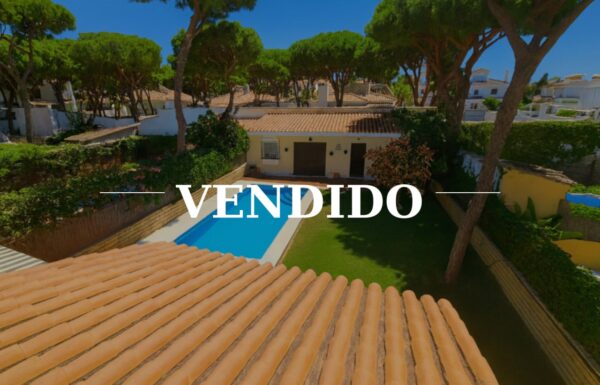 photo_2026-03-12_12-44-11