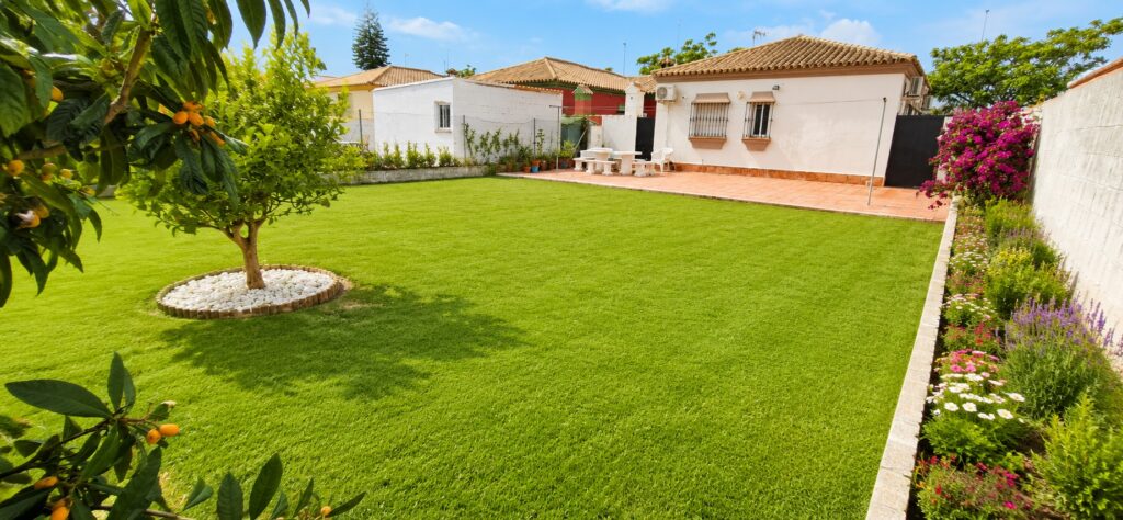 jardin 2